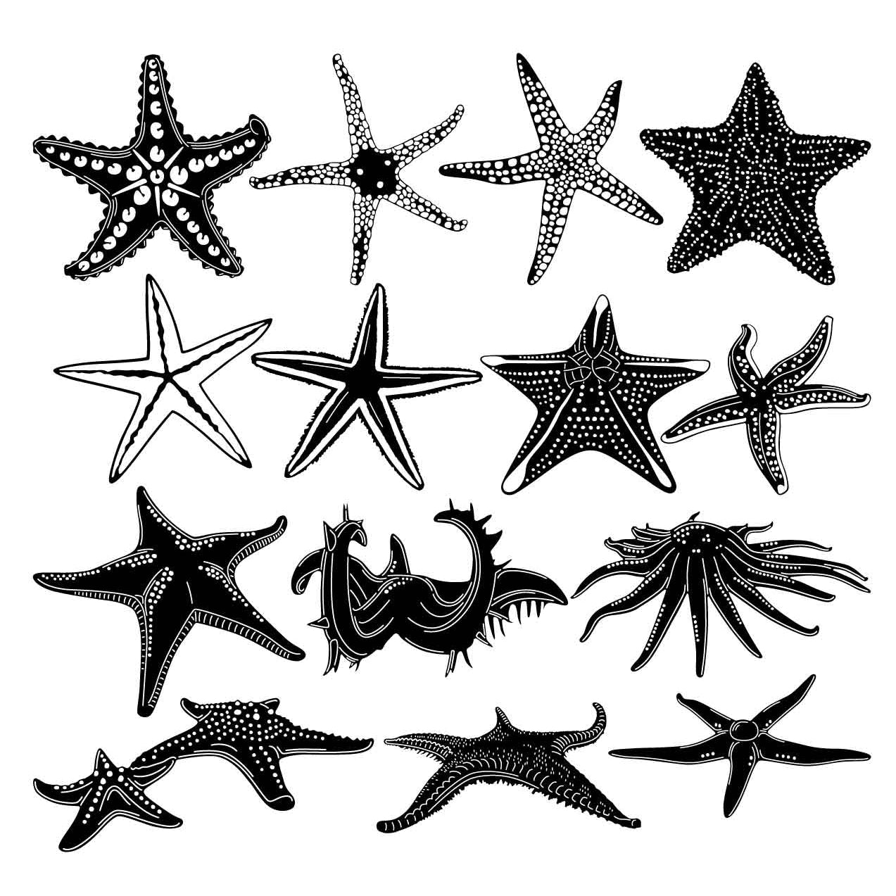 StarFish or Sea Stars DXF Files