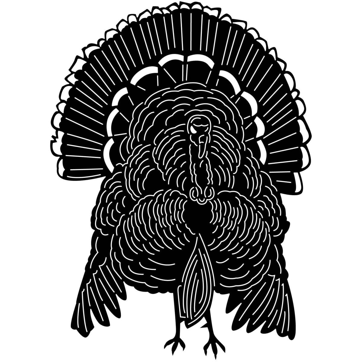 American Wild turkey 01