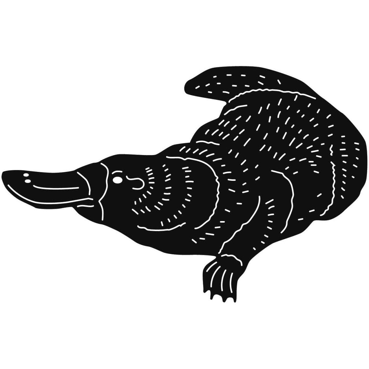 Australian Duck-billed Platypus 07