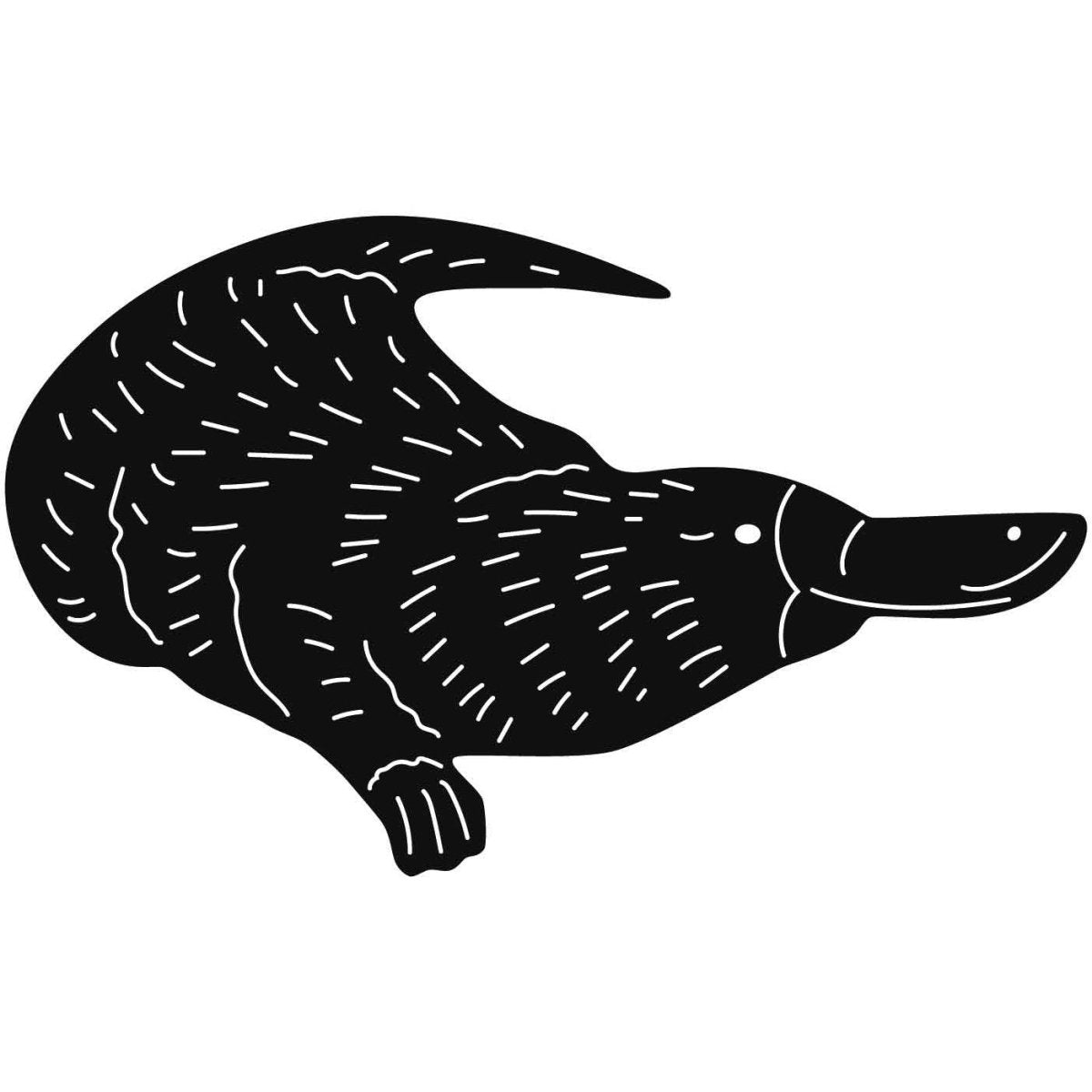 Australian Duck-billed Platypus 13