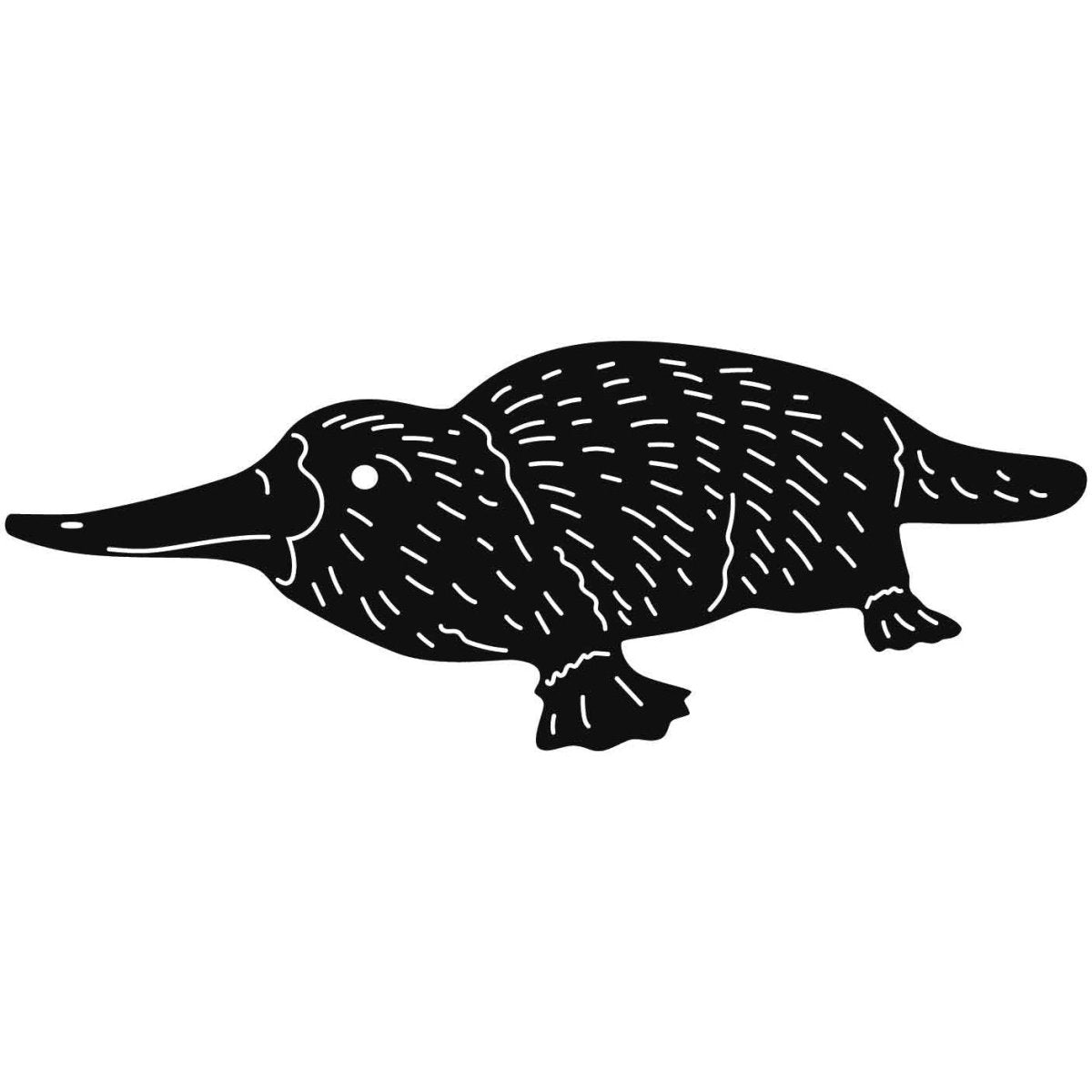 Australian Duck-billed Platypus 14