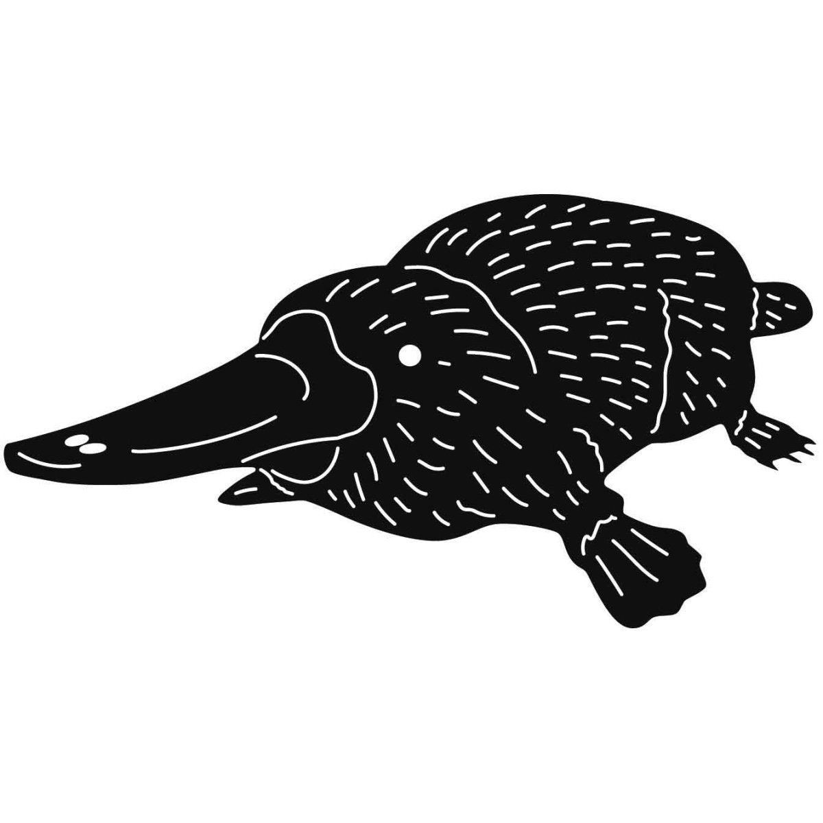 Australian Duck-billed Platypus 15