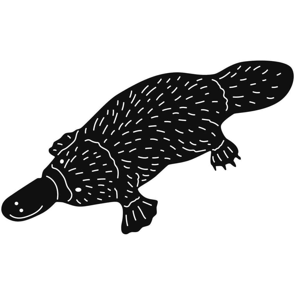 Australian Duck-billed Platypus 17