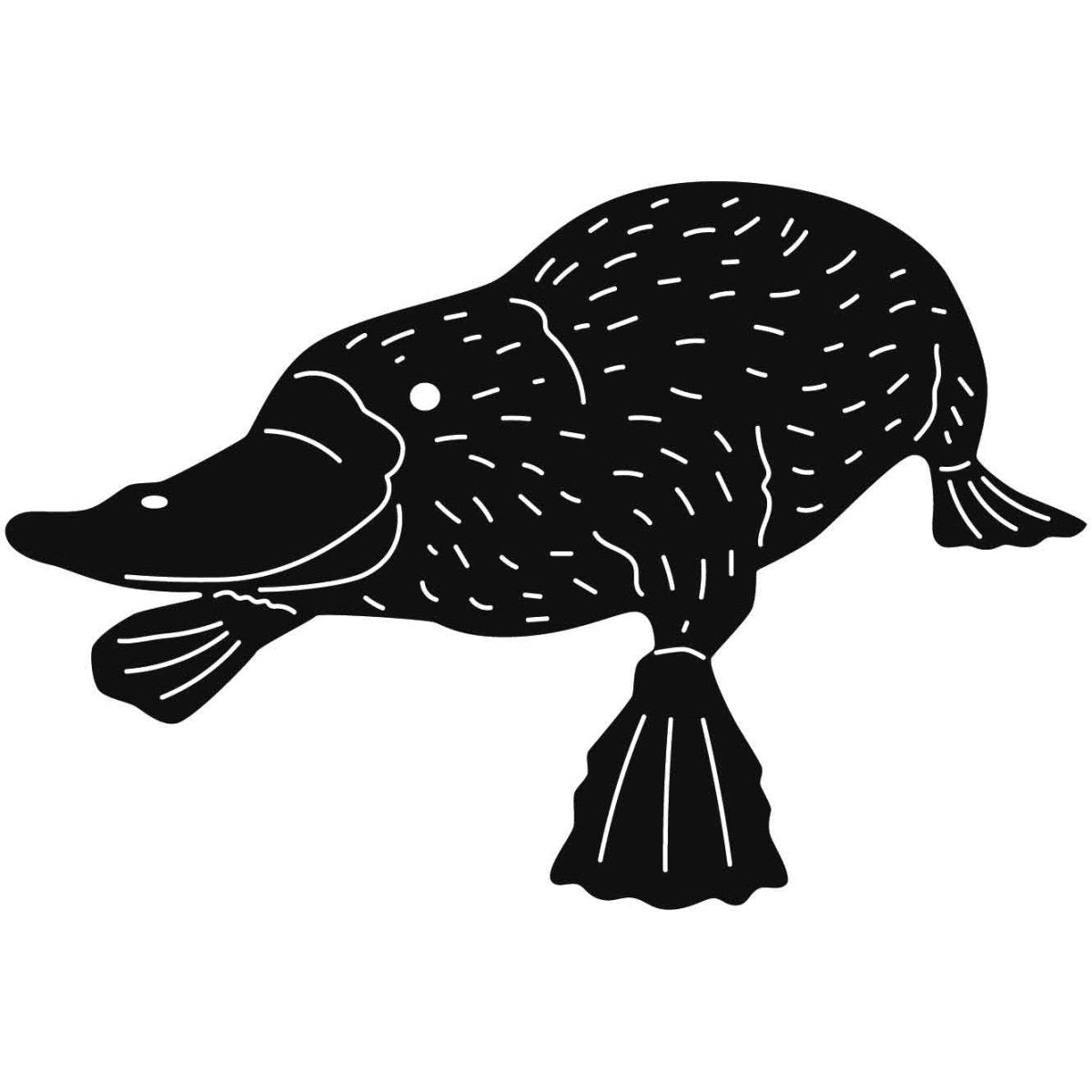 Australian Duck-billed Platypus 19