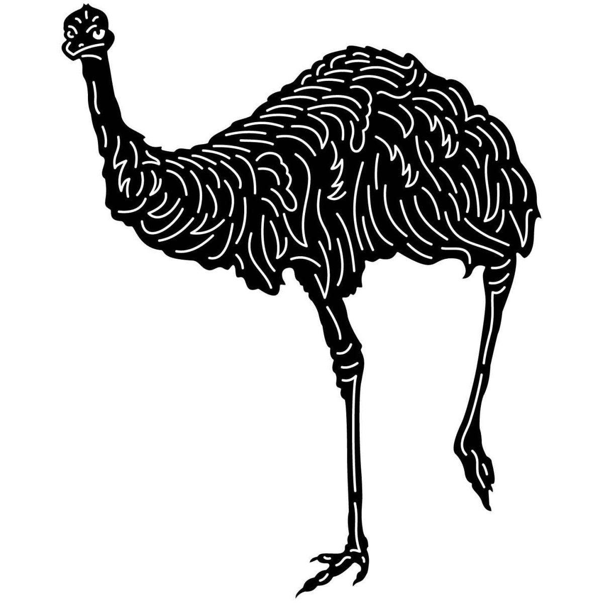 Australian Emu Bird 05