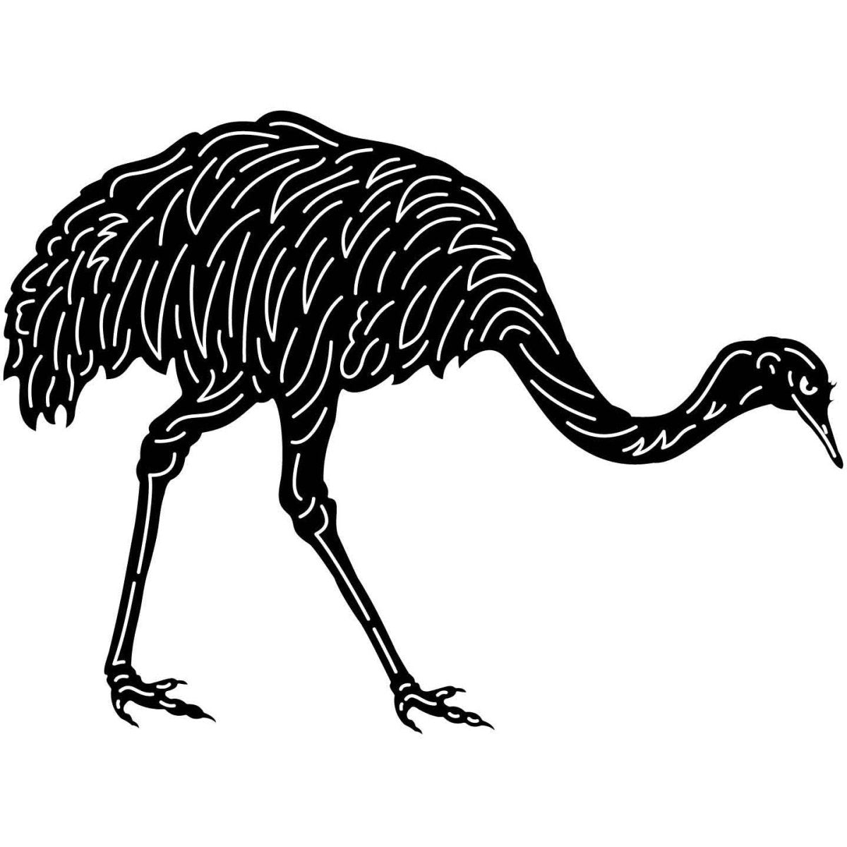 Australian Emu Bird 06