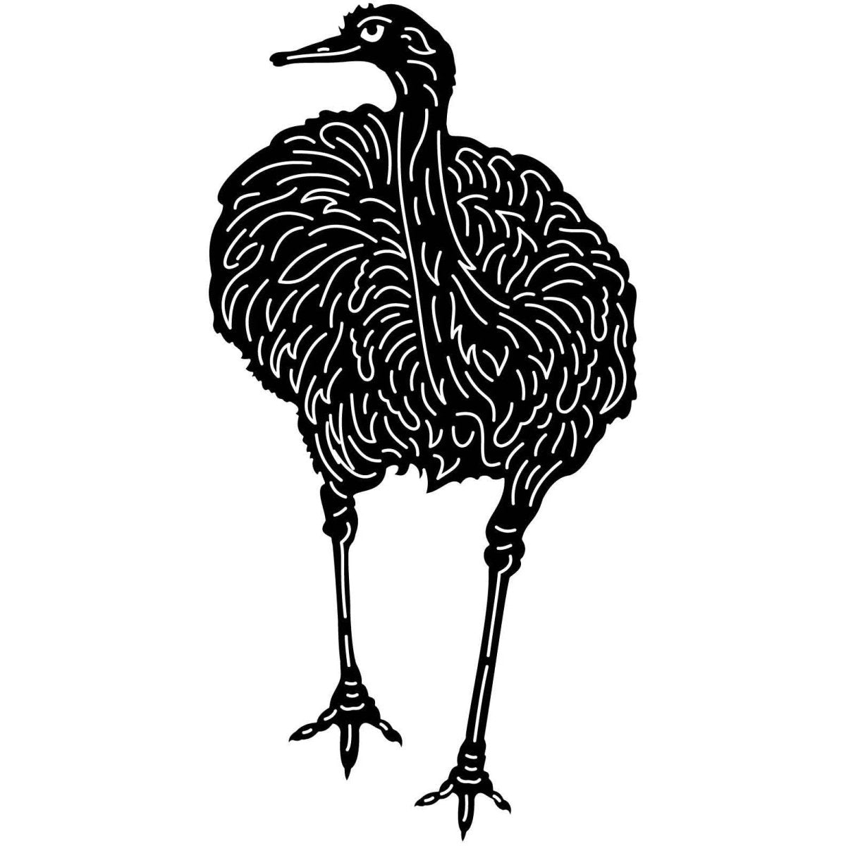 Australian Emu Bird 08