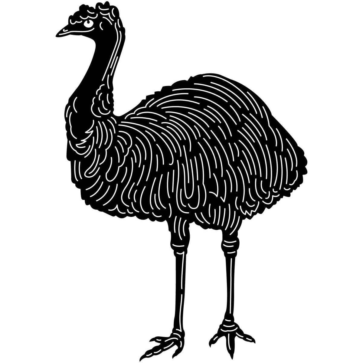 Australian Emu Bird 11