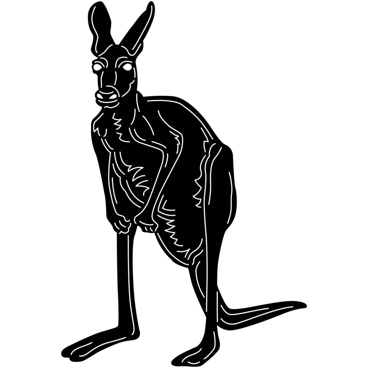 Australian Kangaroo 01