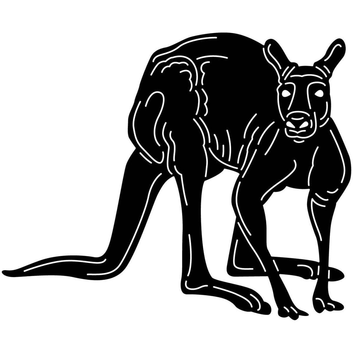 Australian Kangaroo 02