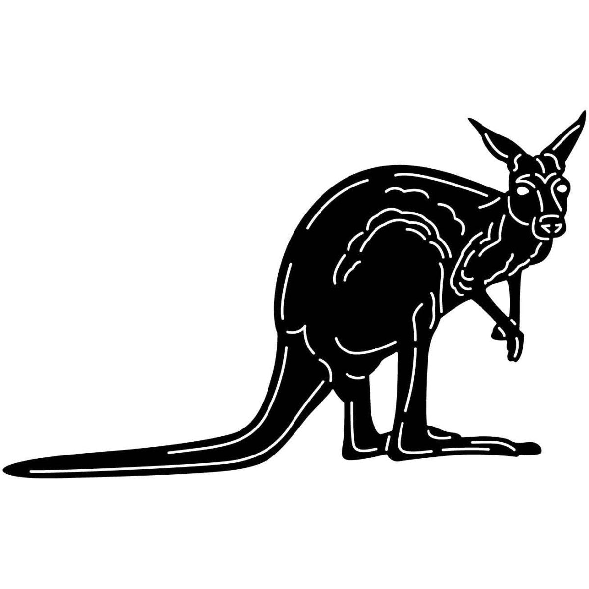 Australian Kangaroo 03