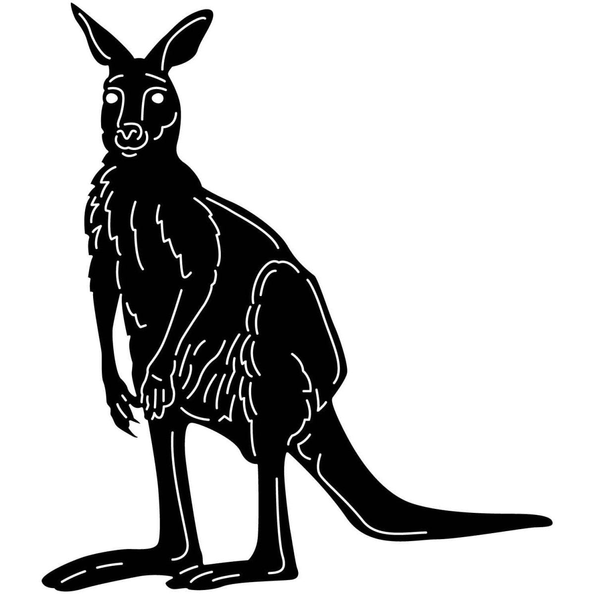 Australian Kangaroo 04