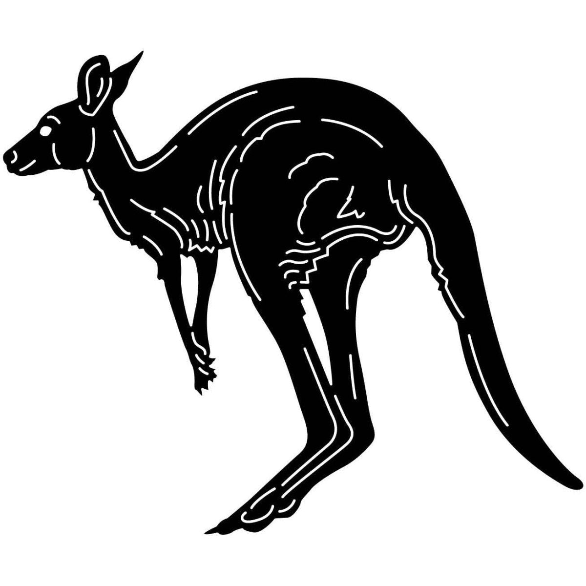 Australian Kangaroo 07