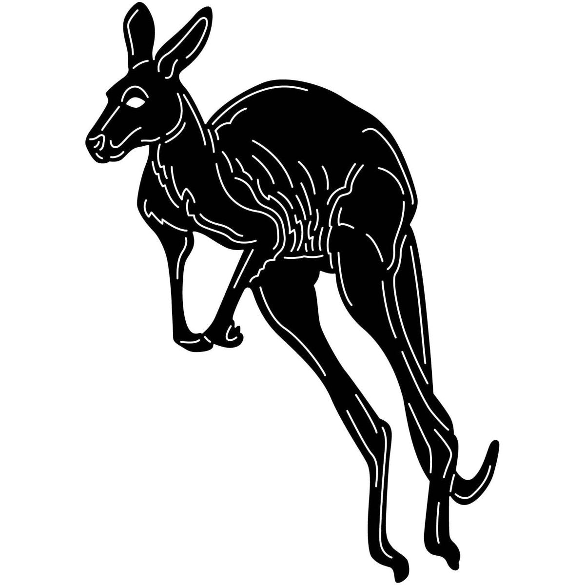 Australian Kangaroo 10