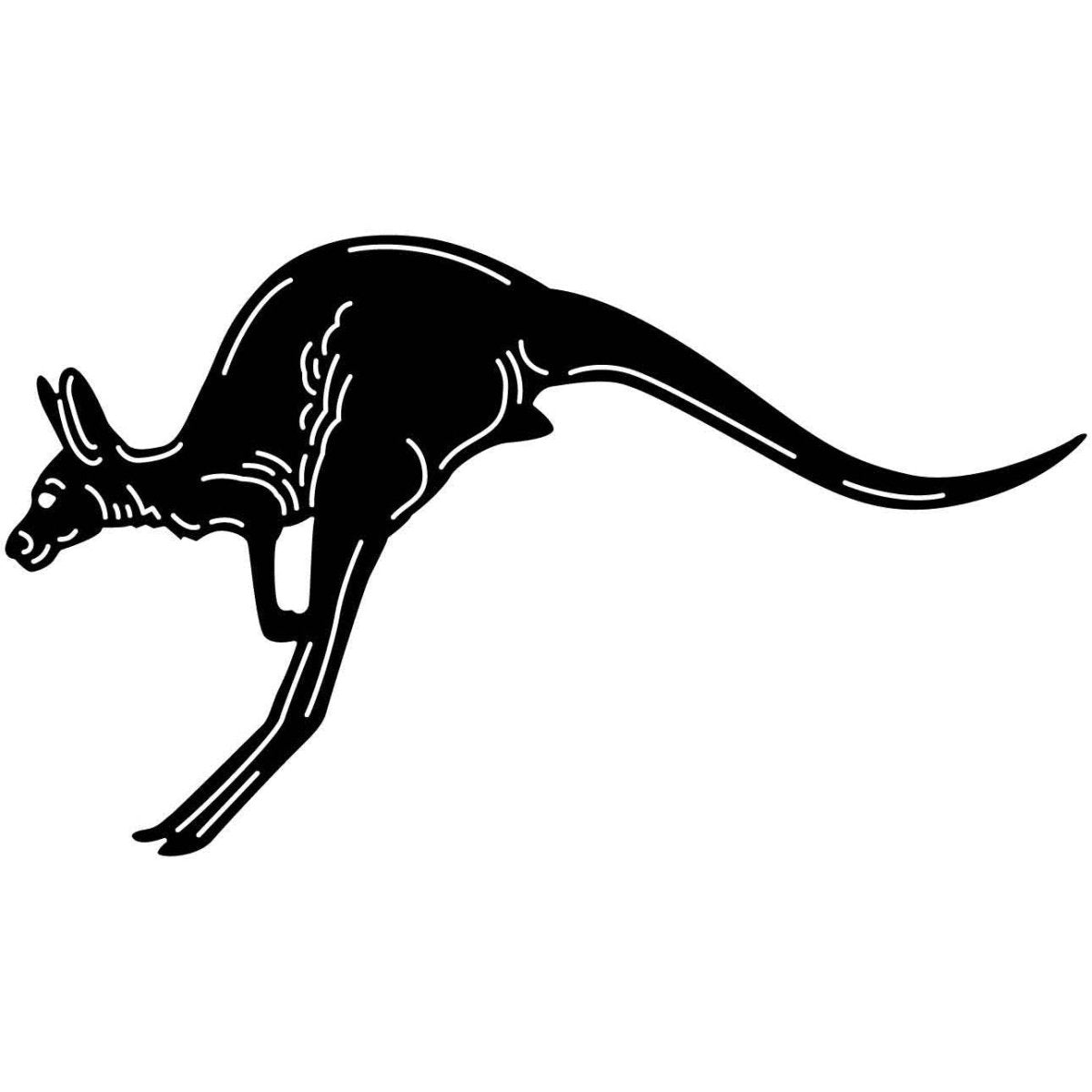 Australian Kangaroo 11