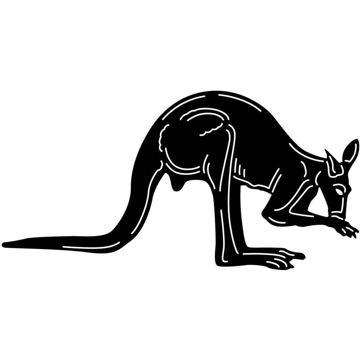 Australian Kangaroo 15