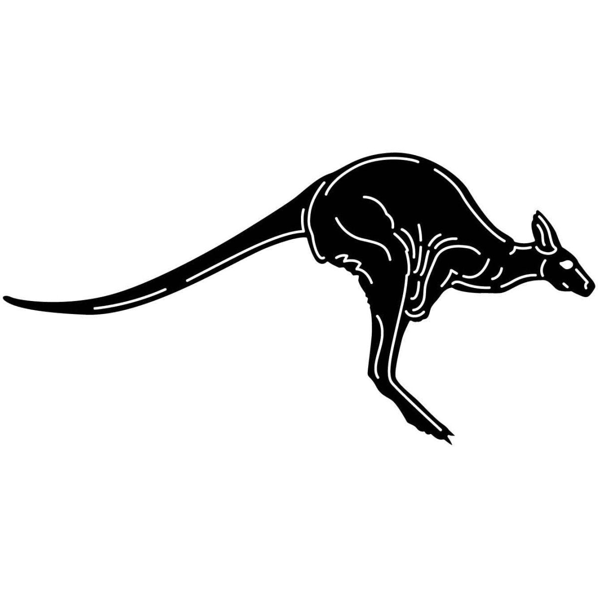 Australian Kangaroo 16