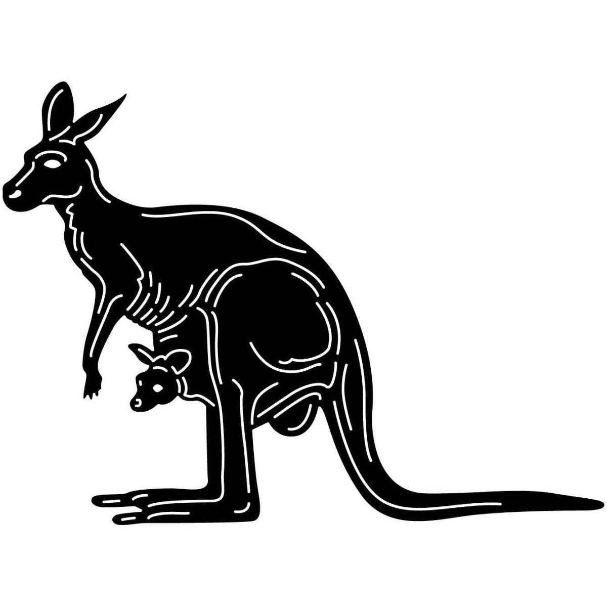 Australian Kangaroo 17