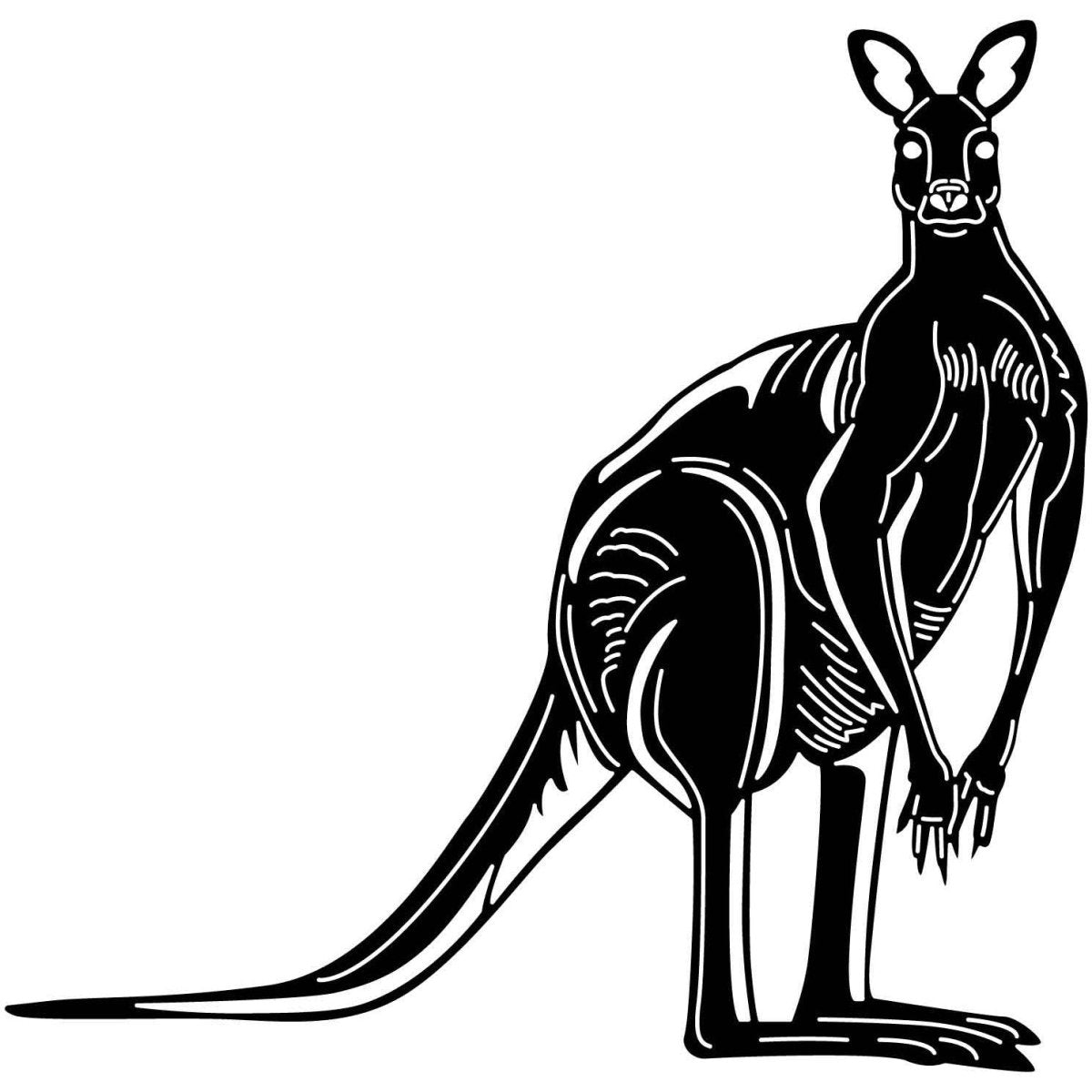 Australian Kangaroo 19