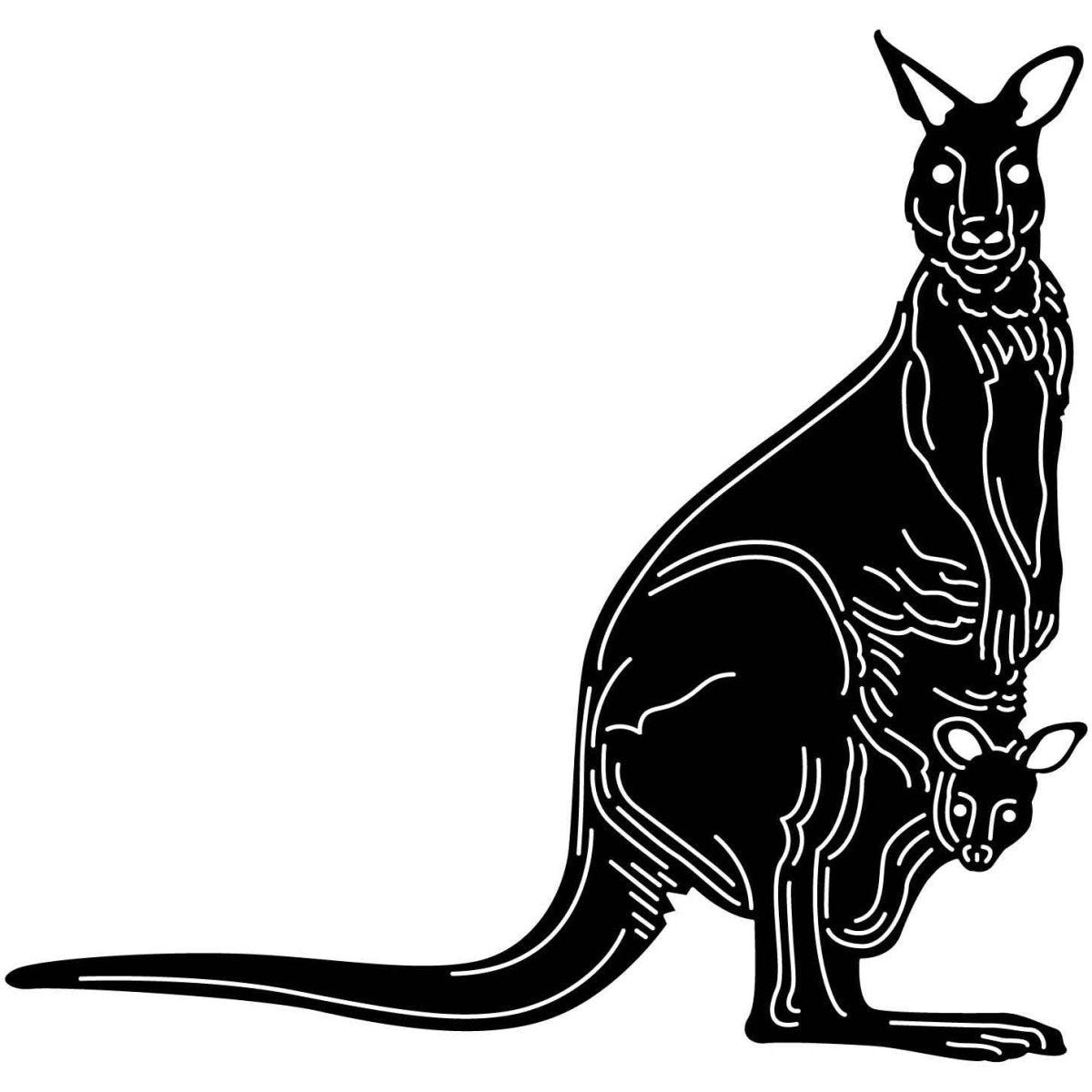 Australian Kangaroo 20