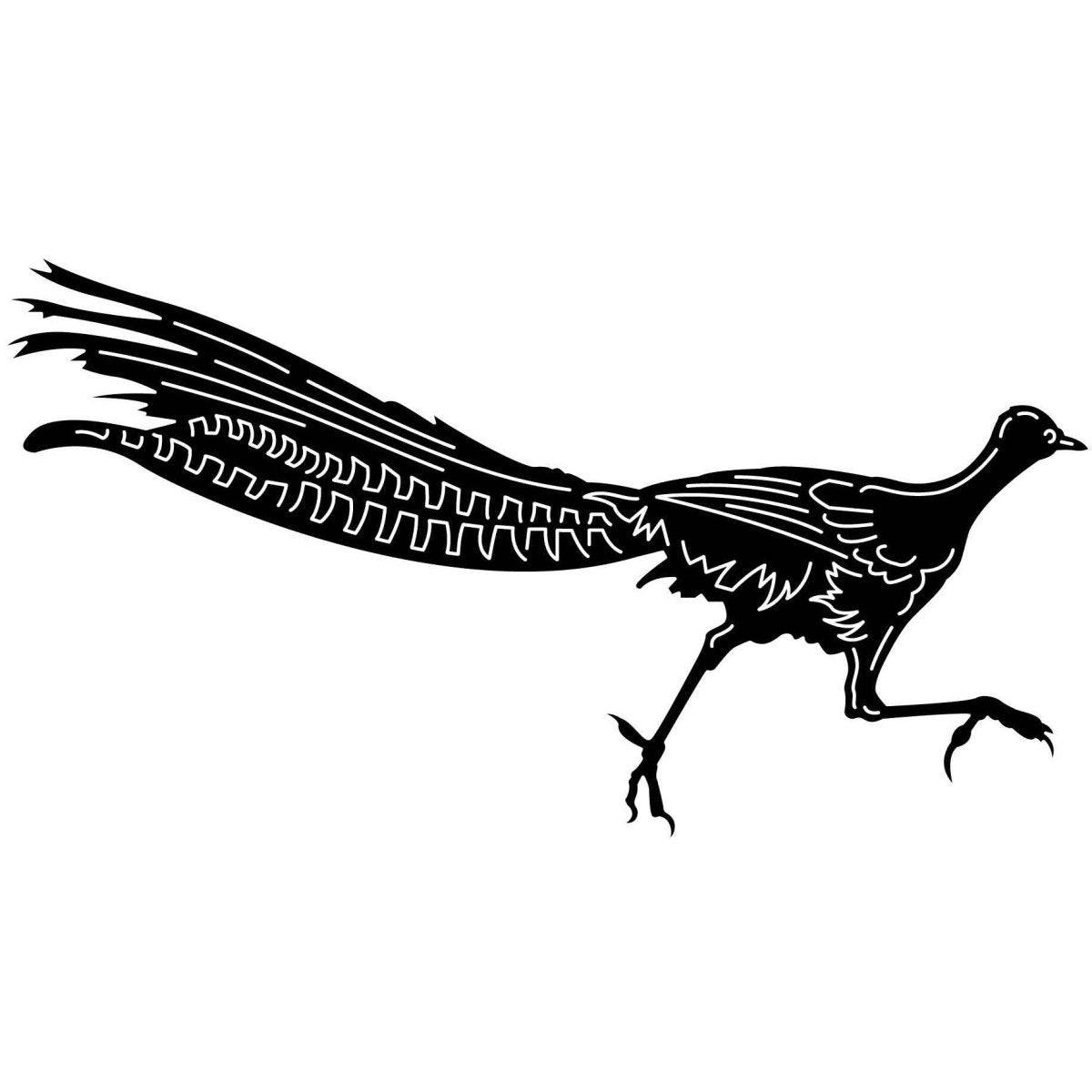 Australian Lyrebirds 02