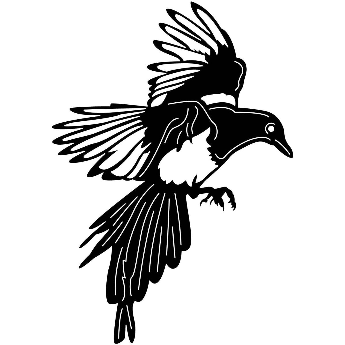 Australian Magpies 02