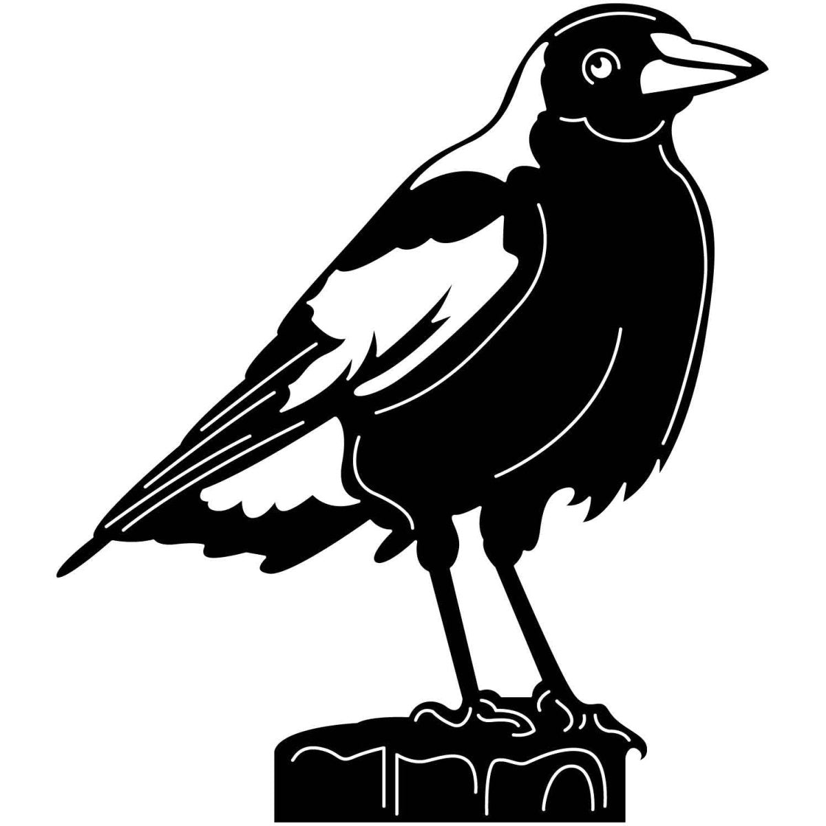 Australian Magpies 03