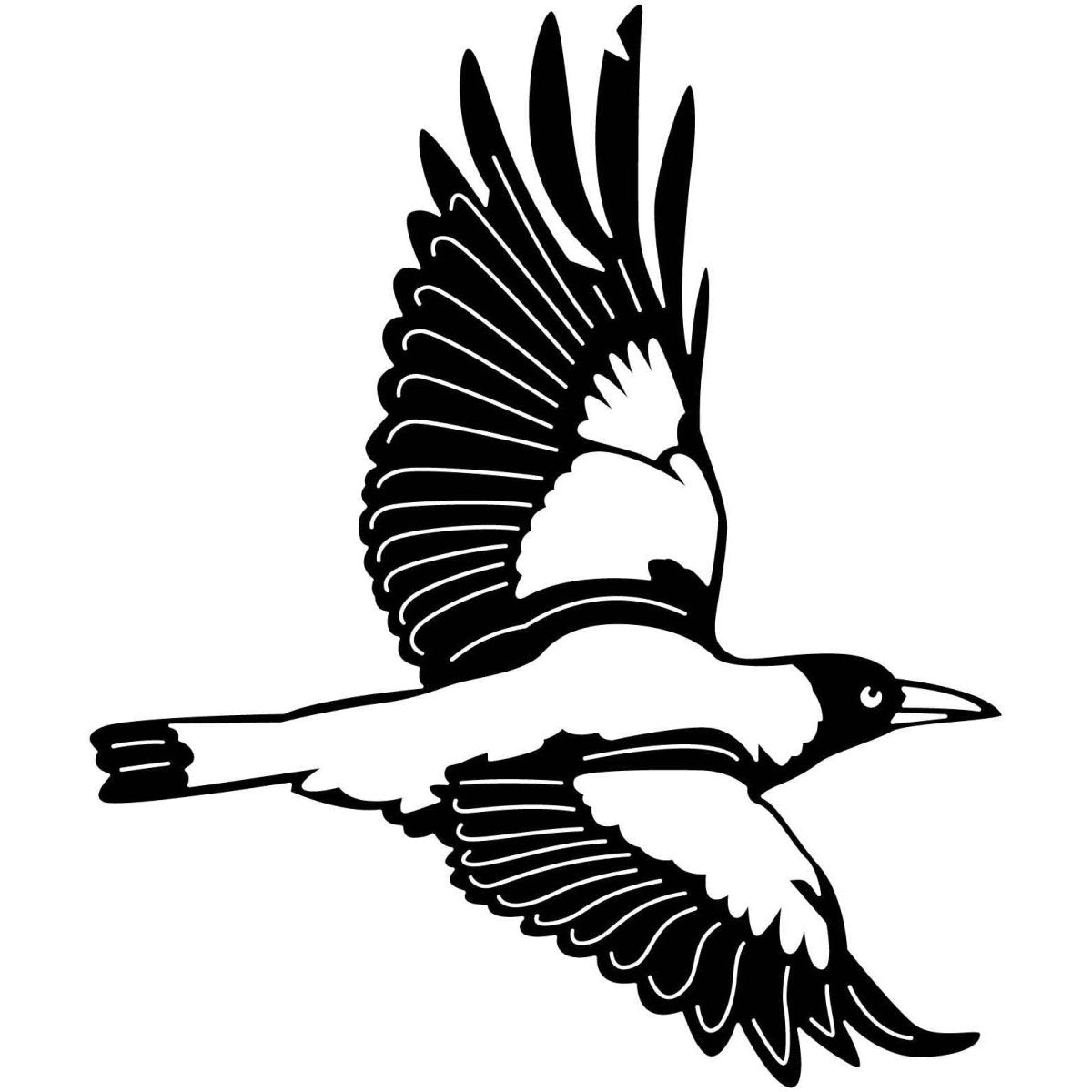 Australian Magpies 08