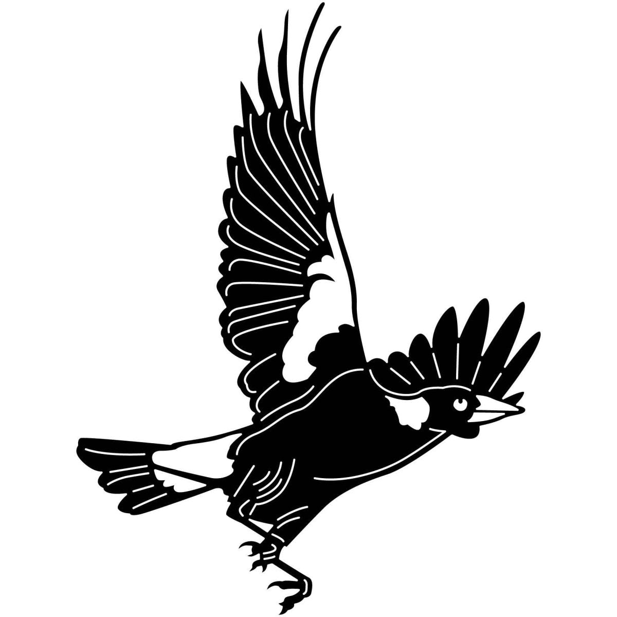 Australian Magpies 10