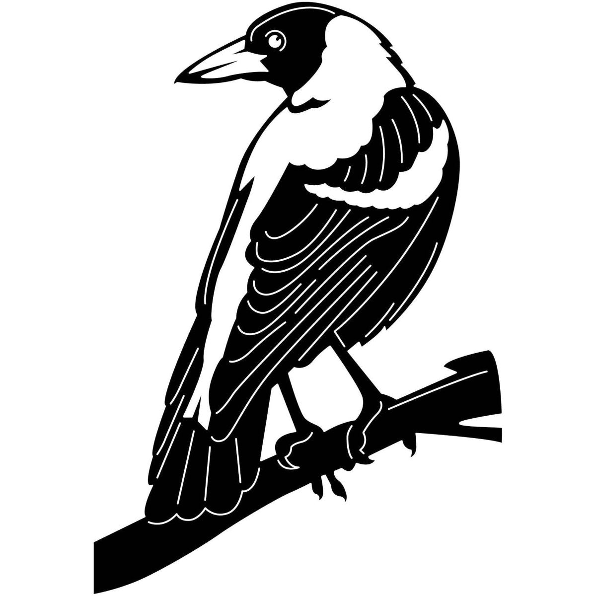 Australian Magpies 12