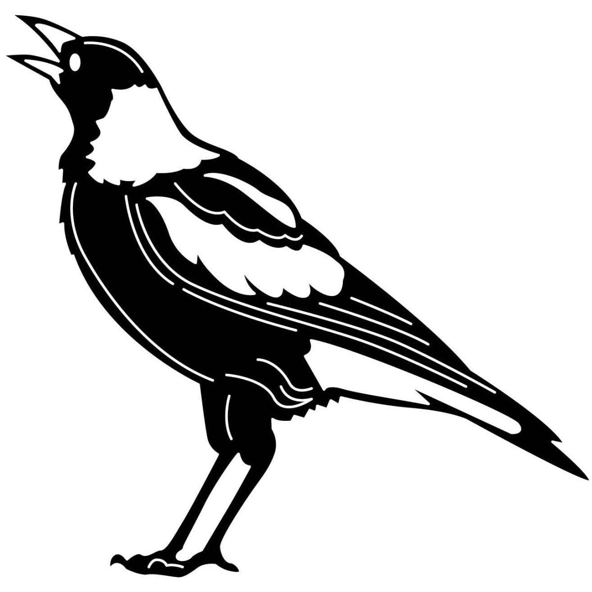 Australian Magpies 15