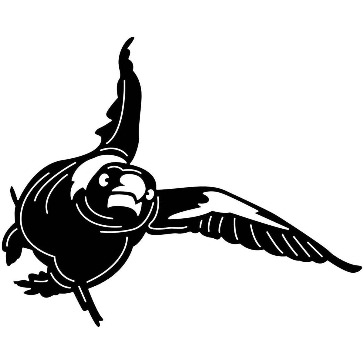 Australian Magpies 17