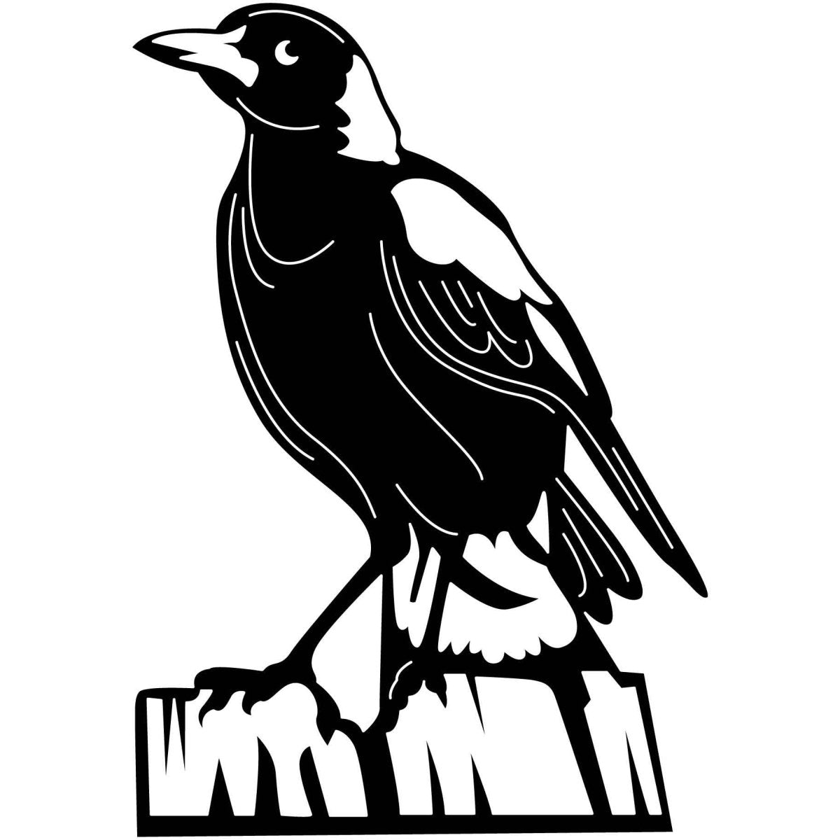 Australian Magpies 18