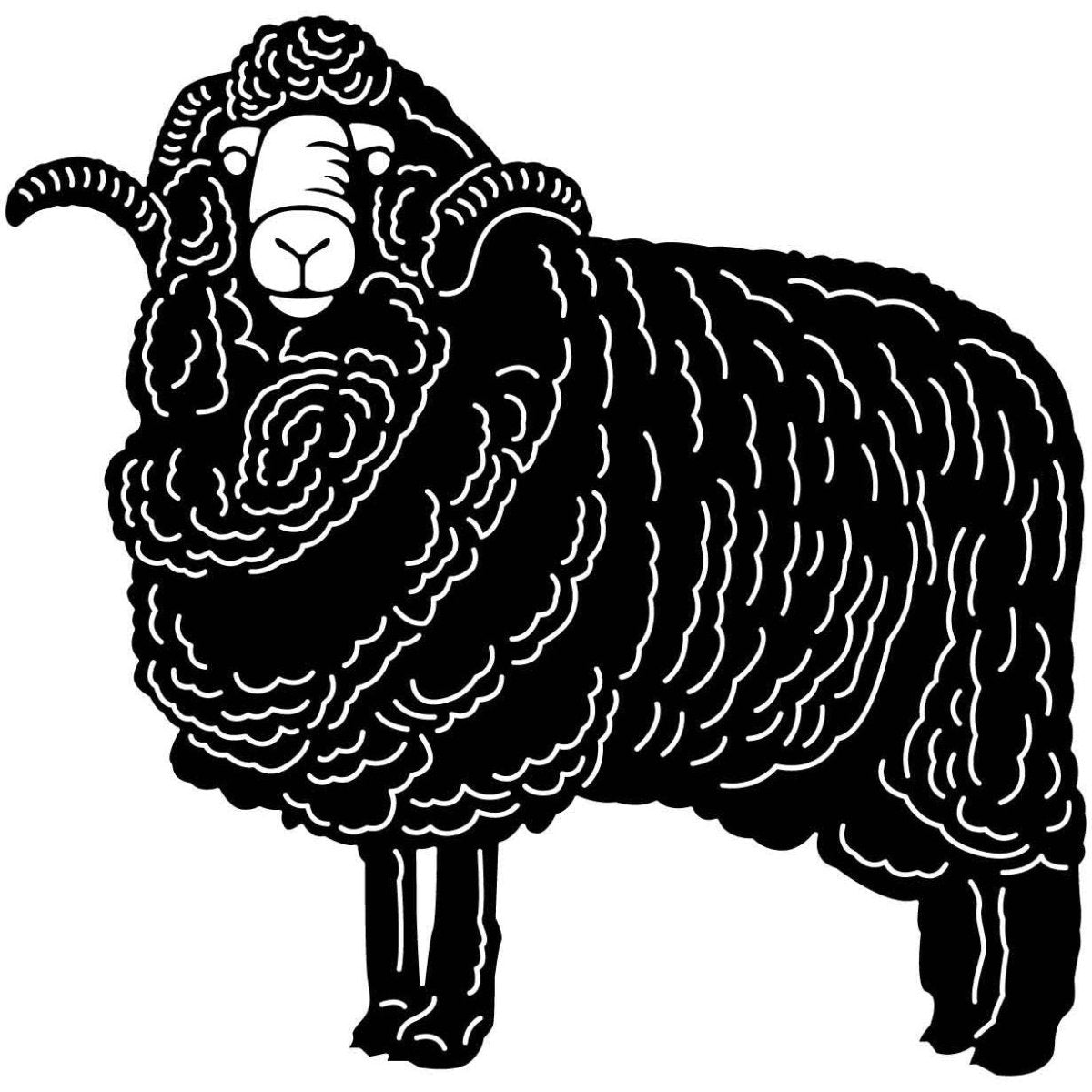 Australian Merino Sheep 01