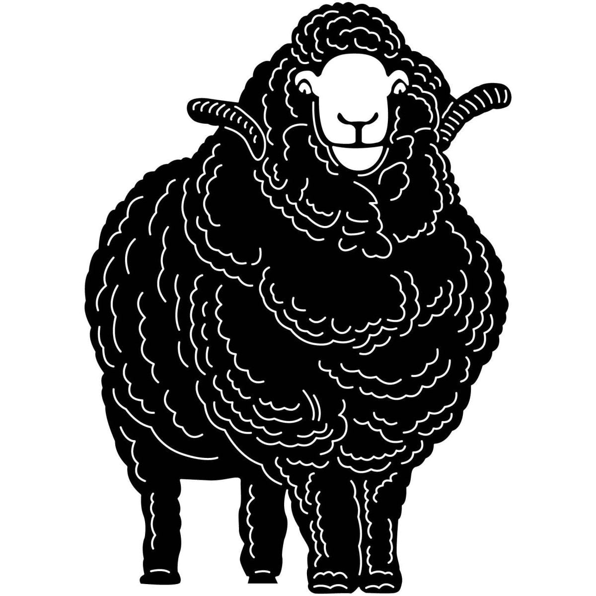 Australian Merino Sheep 03