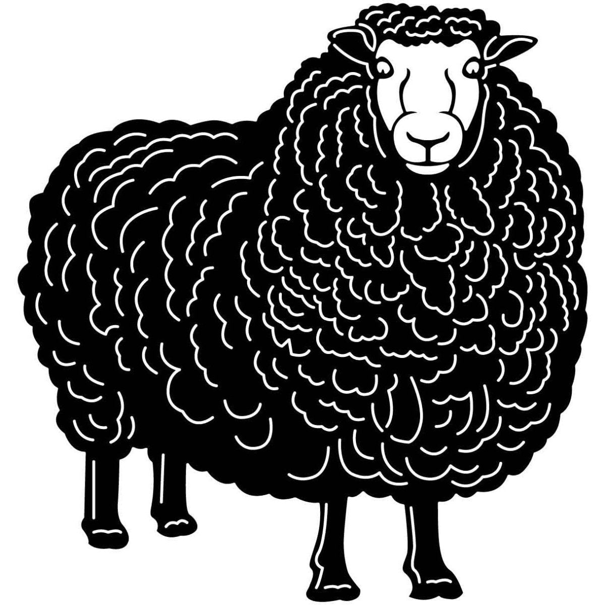 Australian Merino Sheep 04