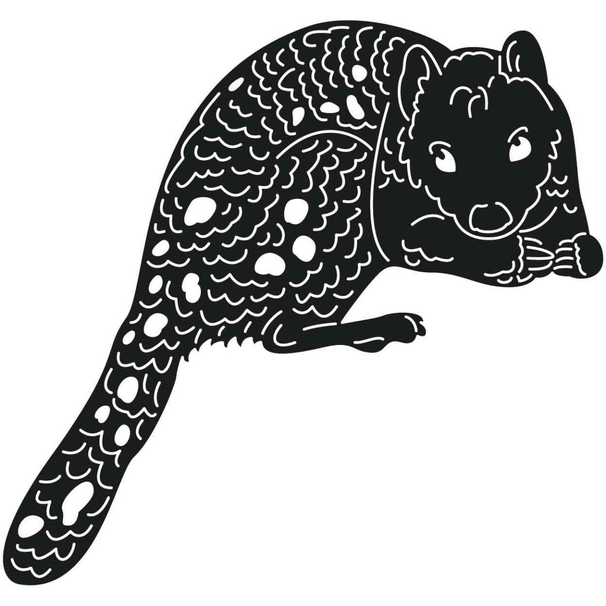 Australian Quolls 01