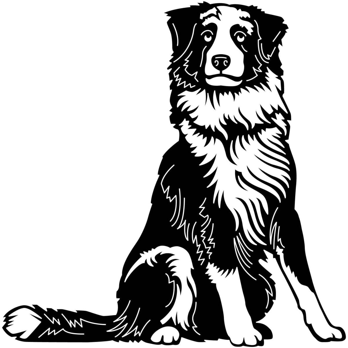 Australian Shepherd Dogs 05