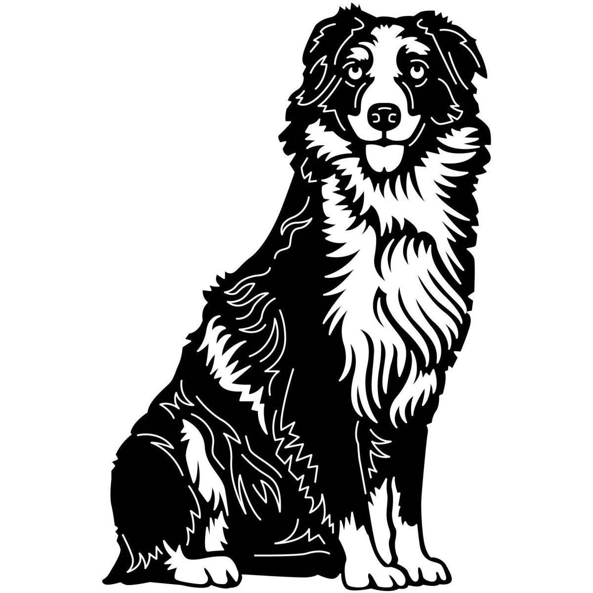 Australian Shepherd Dogs 06