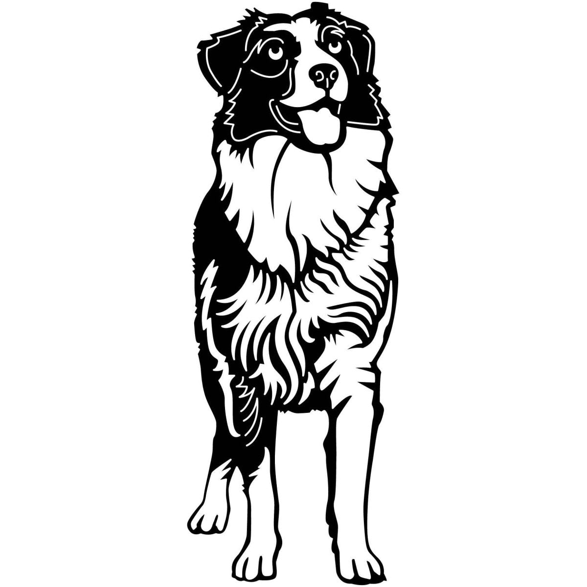 Australian Shepherd Dogs 11