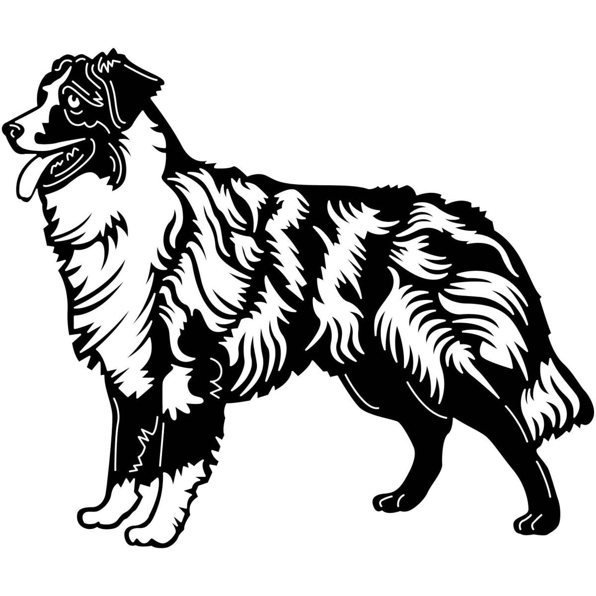 Australian Shepherd Dogs 21