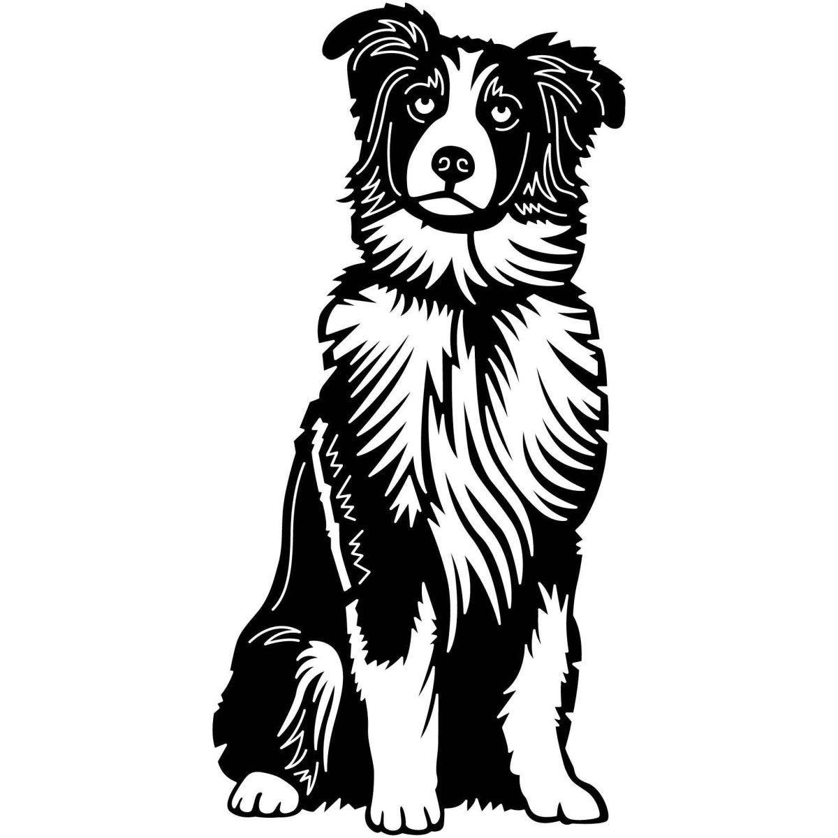 Australian Shepherd Dogs 22