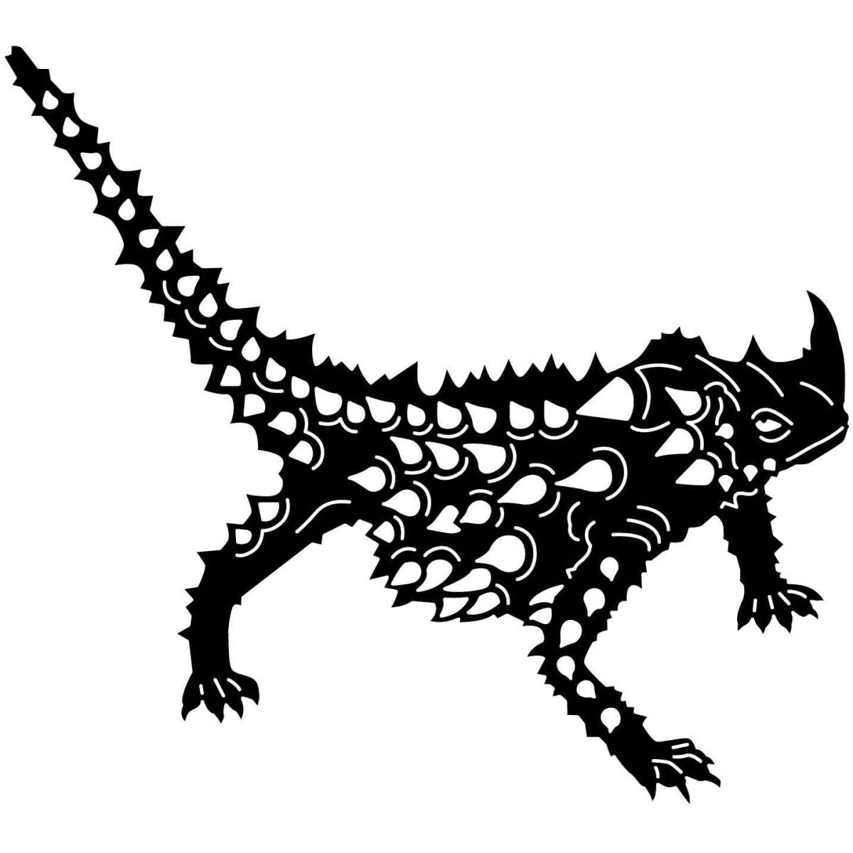 Australian Thorny Devil Lizard 05