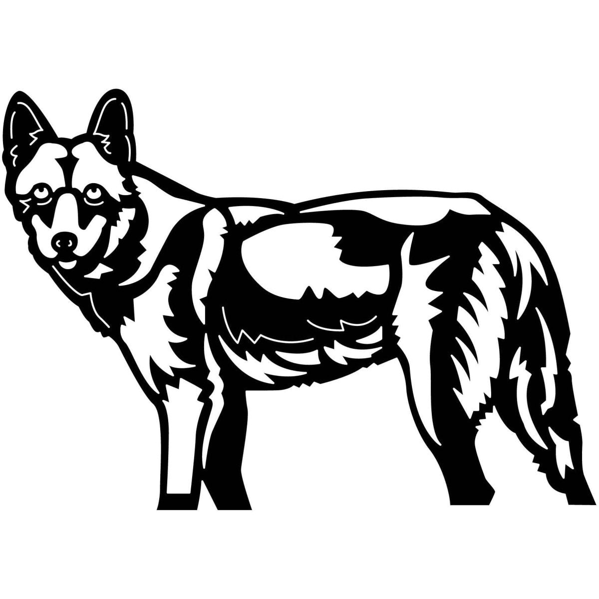 Australian Wild Dog Dingo 01