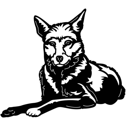 Australian Wild Dog Dingo 03