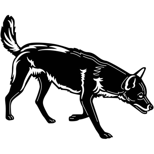 Australian Wild Dog Dingo 22