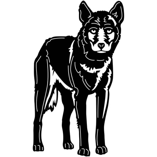 Australian Wild Dog Dingo 25