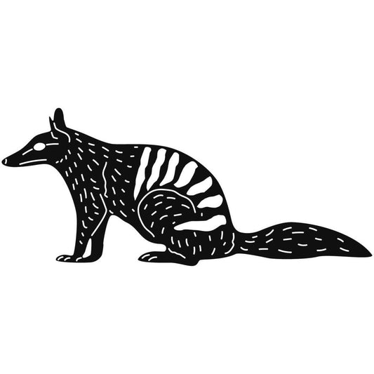 Australian Wild Numbat 04