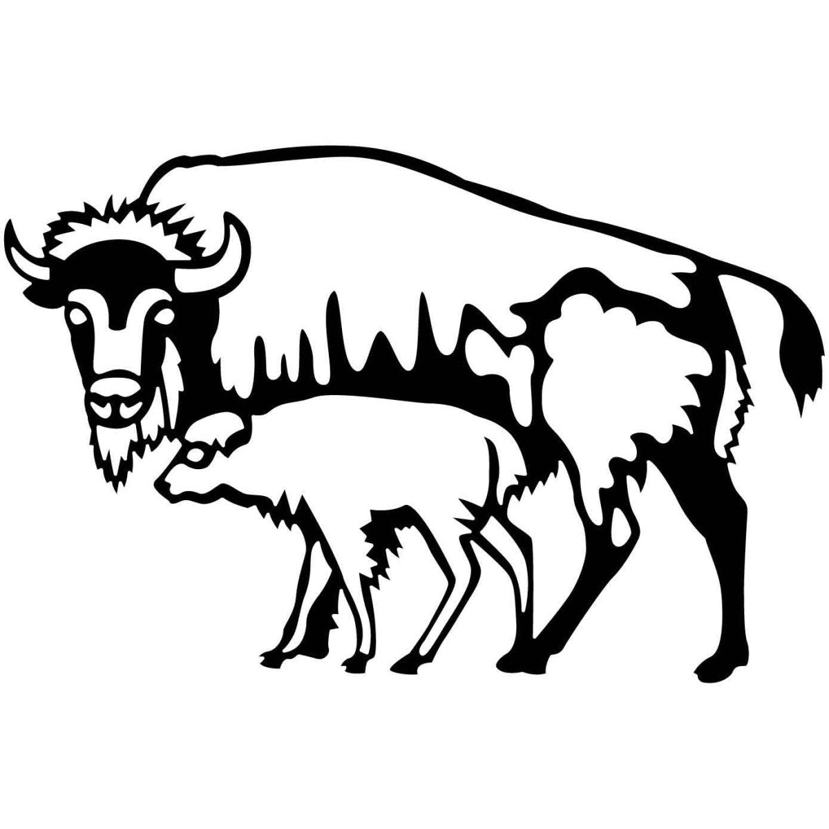 Bison 03