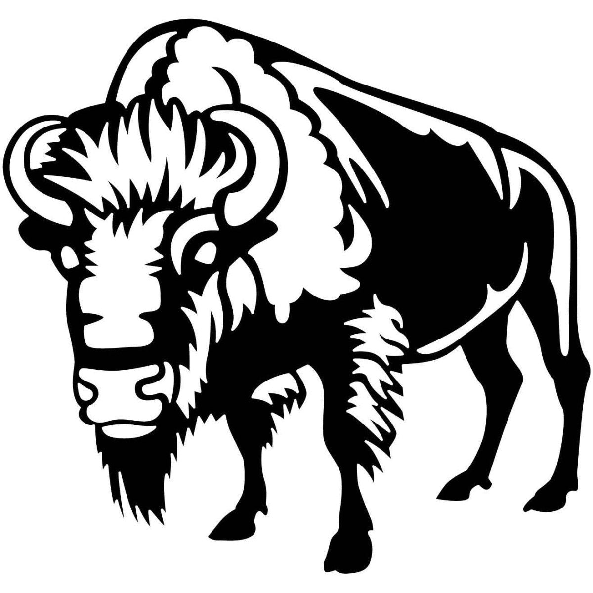 Bison 11